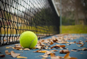 Fall Tournament @ NVLTB | Wageningen | Gelderland | Netherlands